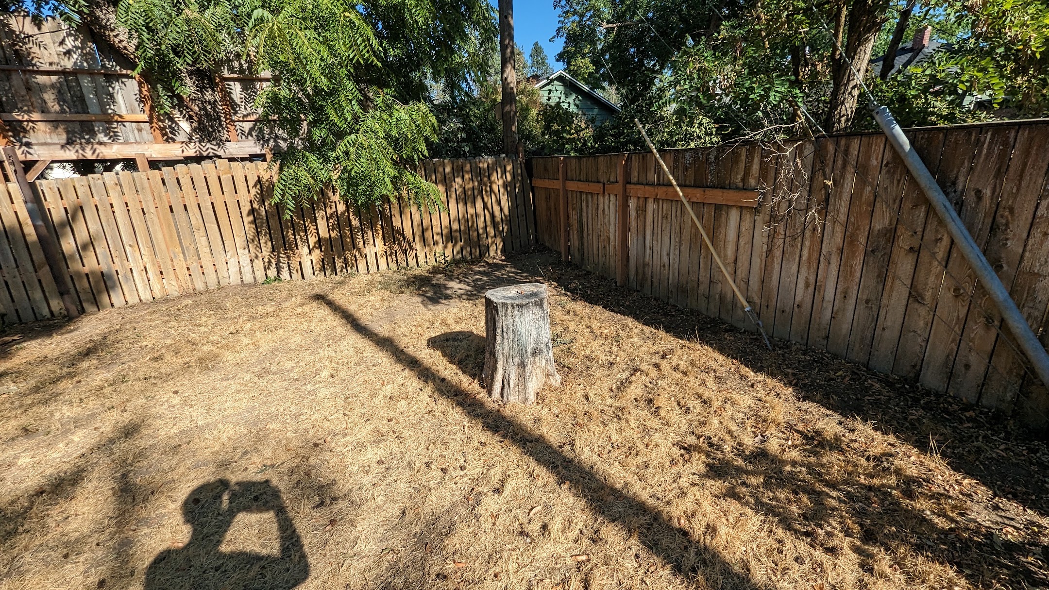 Backyard before stump grinding, dead grass patch with the stump remnant near the shed