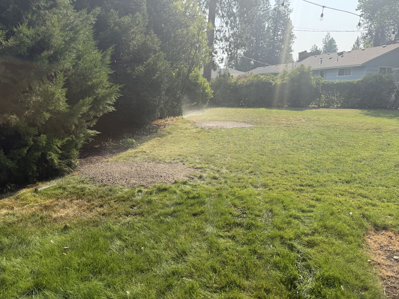 Same spot after grinding, cleared and freshly watered